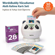WordsBuddy Vücudumuz – Türkçe İngilizce Akıllı Kelime Kart Seti