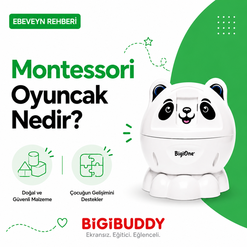 Montessori Oyuncak Nedir? Çocuklar İçin Faydaları Nelerdir? | BigiBuddy