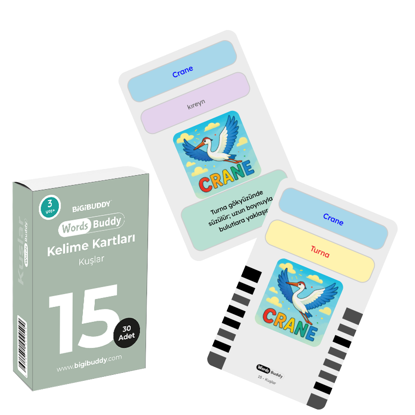 WordsBuddy Kuşlar – Türkçe İngilizce Akıllı Kelime Kart Seti