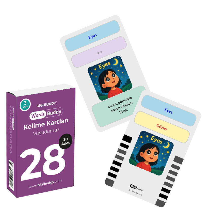 WordsBuddy Vücudumuz – Türkçe İngilizce Akıllı Kelime Kart Seti