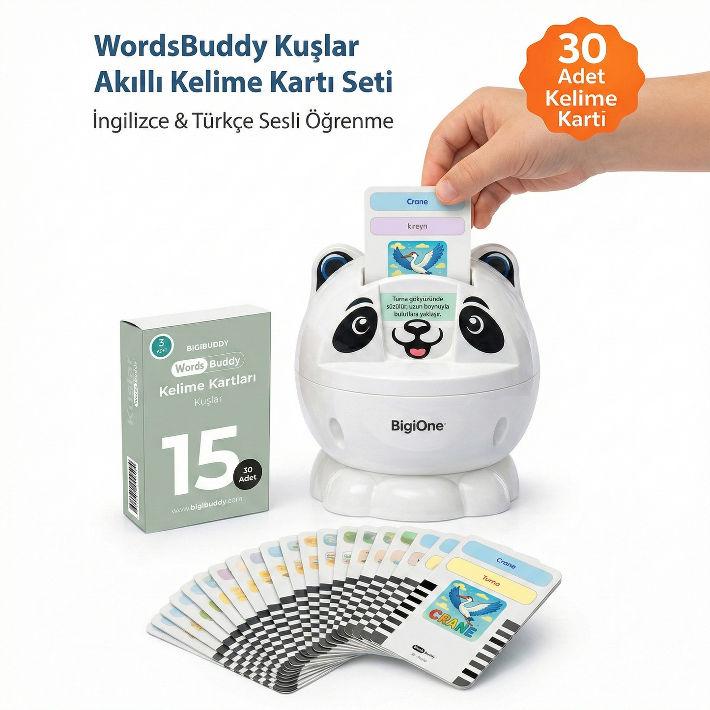 WordsBuddy Kuşlar – Türkçe İngilizce Akıllı Kelime Kart Seti