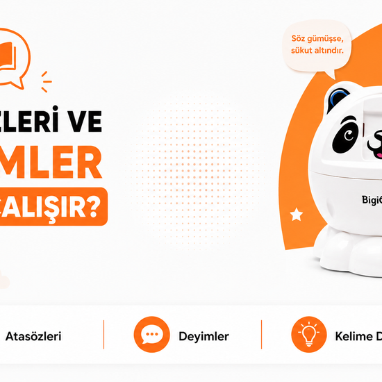 BigiOne Sesli Eğitici Oyuncak | Yapay Zeka Destekli Ekransız Öğrenme Arkadaşı