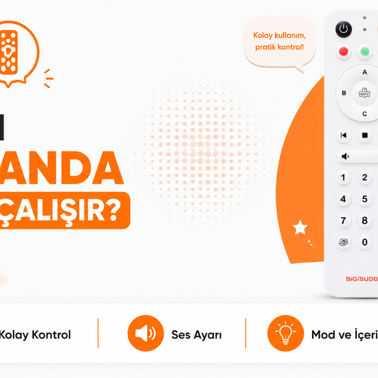 BigiOne Sesli Eğitici Oyuncak | Yapay Zeka Destekli Ekransız Öğrenme Arkadaşı