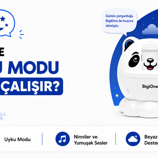 BigiOne Sesli Eğitici Oyuncak | Yapay Zeka Destekli Ekransız Öğrenme Arkadaşı