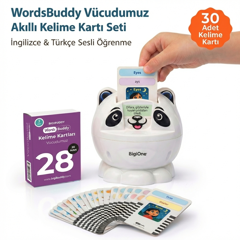 WordsBuddy Vücudumuz – Türkçe İngilizce Akıllı Kelime Kart Seti